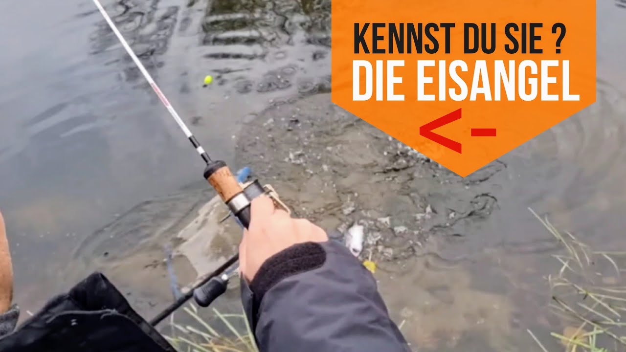 Geheimwaffe Eisangel: Forellen-Spektakel am Forellenhof DeKolk! 🎣❄️