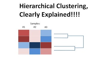 StatQuest: Hierarchical Clustering