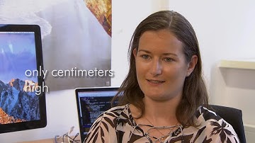 Searching for Continuous Gravitational Waves