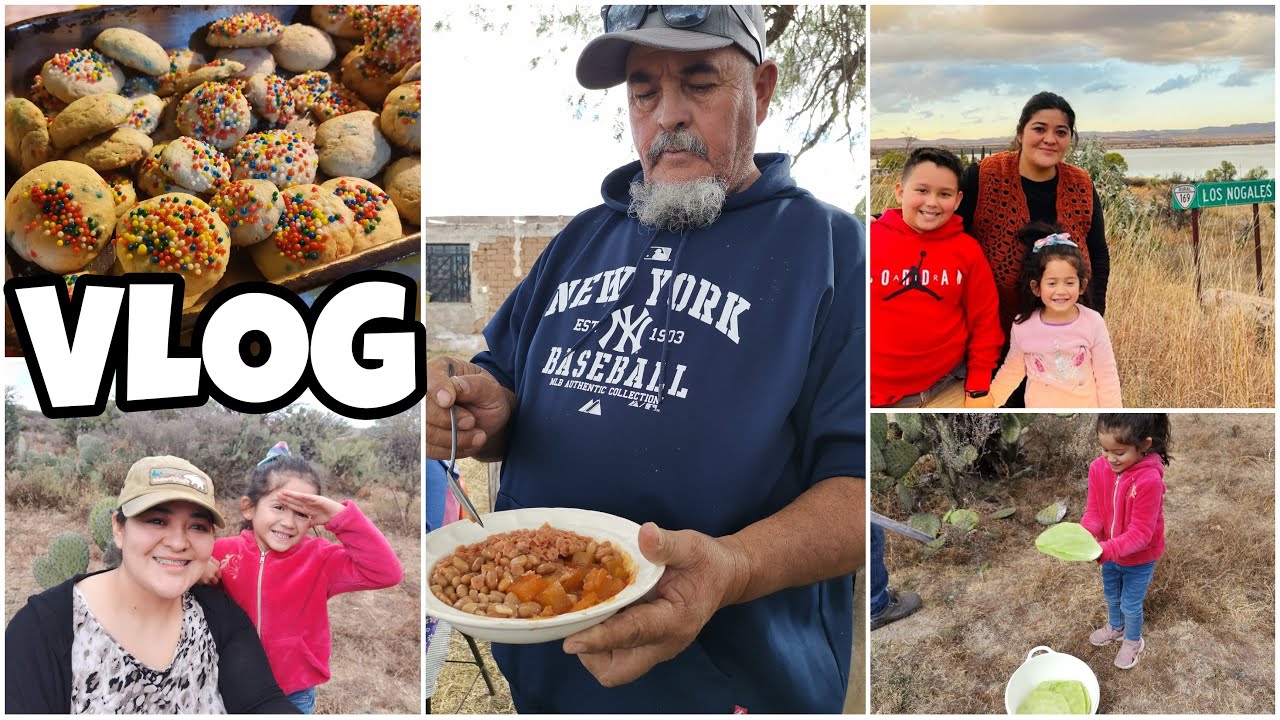 ?Como hacer Corazones de Nopal en Chile Rojo ?️ | Cocinando en Leña -  YouTube