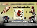 تيتاتات تيواواطي برررر تشيپا شتيپي كياكيا طاوطاو بلامونتي اوووس بلاكرات كلاك كلاك جيو تيتاتات تيواواطي برررر تشيپا شتيپي كياكيا طاوطاو بلامونتي اوووس بلاكرات كلاك كلاك جيو