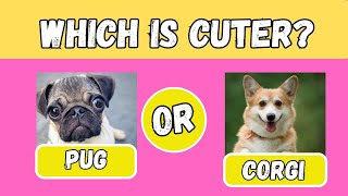 Pick the Cutest Dog | Which Dog is Cuter?