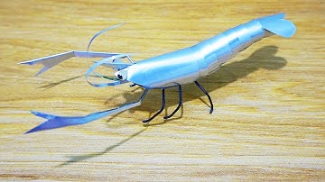 Sáng Tạo Con Tôm Từ Vỏ Lon Nước Ngọt Cực Dễ , Đơn Giản Tại Nhà | Sáng Tạo Cùng Tôi