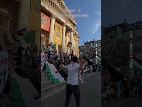 تضامن شباب بلجيكا مع غزة بهتافات
