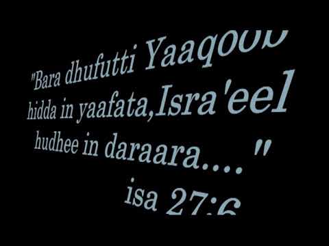 AMAZING DAWIT BEDASA ABDIIN JIRA New Oromo Gospel Song