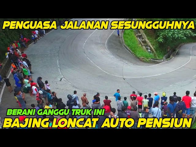 Penguasa Jalanan Sesungguhnya‼️ Bajing Loncat Auto Pensiun Jika Berani Ganggu Truk Ini di Jalan class=