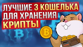 Где хранить криптовалюту в 2023 году? ТОП-3 децентрализованных кошелька