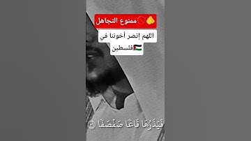 تلاوة عطرة #قرآن #اسمع_بقلبك #quran#المصحف #الجزائر #مصر