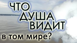 Это придётся увидеть и пережить в час смерти!.. Еп. Александр (Милеант)