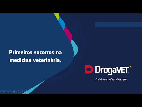 Vídeo: Catosal Para Gatos: Instruções Para Uso Em Medicina Veterinária, Indicações E Contra-indicações, Posologia, Revisões E Análogos