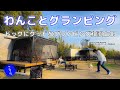 【犬と泊まれる宿】柴犬と和歌山へ旅行!巨大ドッグランの中でグランピング、まさにドッグにグッドな最高の宿だった【豆柴ころた】