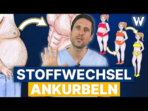 Den Stoffwechsel ankurbeln und dabei Gewicht verlieren: 5 Tipps für Fettstoffwechsel \u0026 Metabolismus