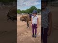 Outfit Check With My Pony Leo Cute Horse Video Outfit Check With My Pony Leo Cute Horse Video