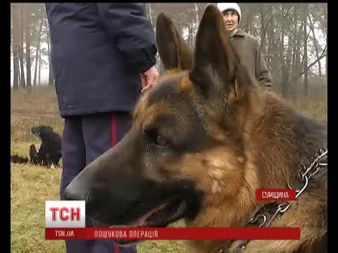 На Сумщині службовий пес врятував життя хворому на ДЦП юнакові