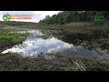 3 Hour Nature Sound Relaxation-Soothing forest lake birds Singing-Relaxing Sleep. #Wildlife