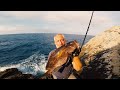 Catch & Cook beautiful Golden Grouper | Traditional Dalmatian stew "Popara"