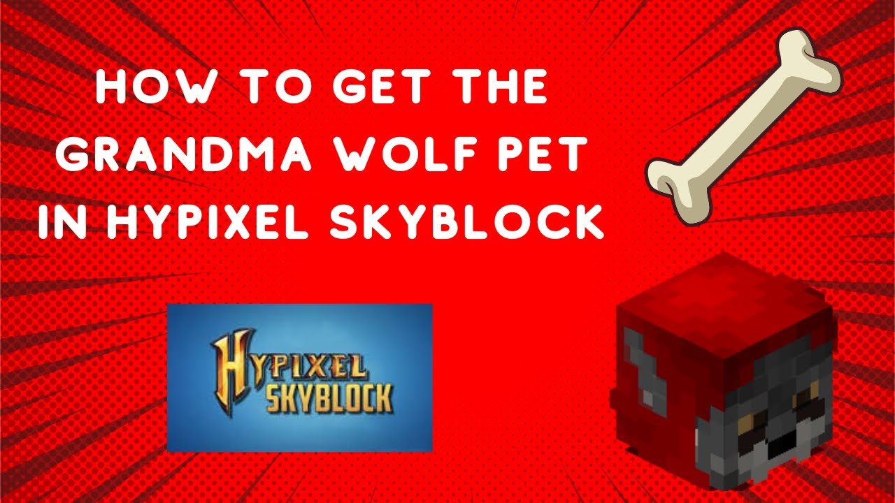 Hypixel Skyblock How To Get The Grandma Wolf Pet YouTube