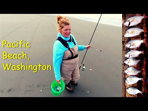 Surf Perch Fishing Washington State Catch & Cook 