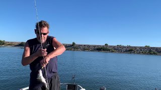 Thumping for stripers # lake Texoma in Oklahoma