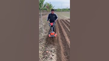 #Ditching and soil-raising machine#Micro-tillage machine#Mountain slope orchard greenhouse