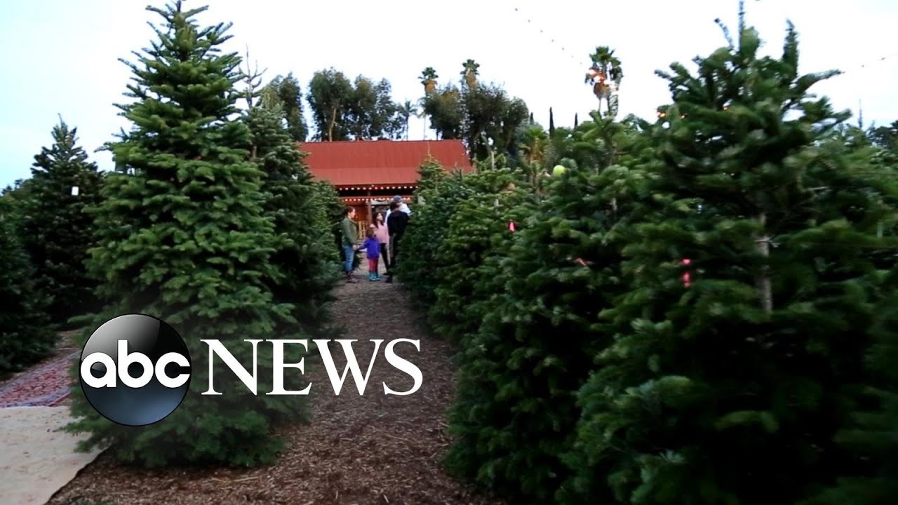 Made In America Holiday Edition Youtube Made In America Holiday Edition Youtube