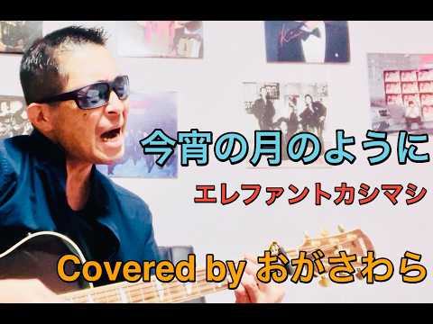 エレファントカシマシ「今宵の月のように」Covered by おがさわら【歌詞付】【歌ってみた】【ギター弾き語り】【カバー】
