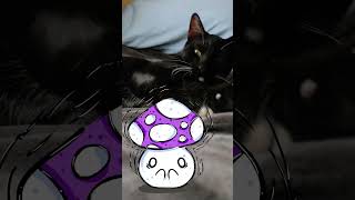 Honguito Conociendo Al Gao