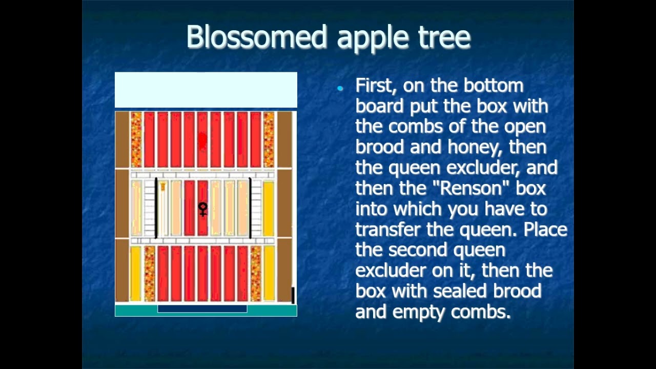 Renson's method of beekeeping