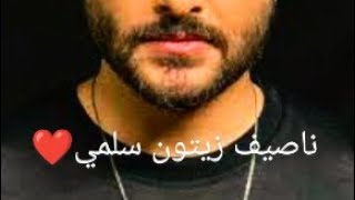 Nassif Zeytoun - Sallemi