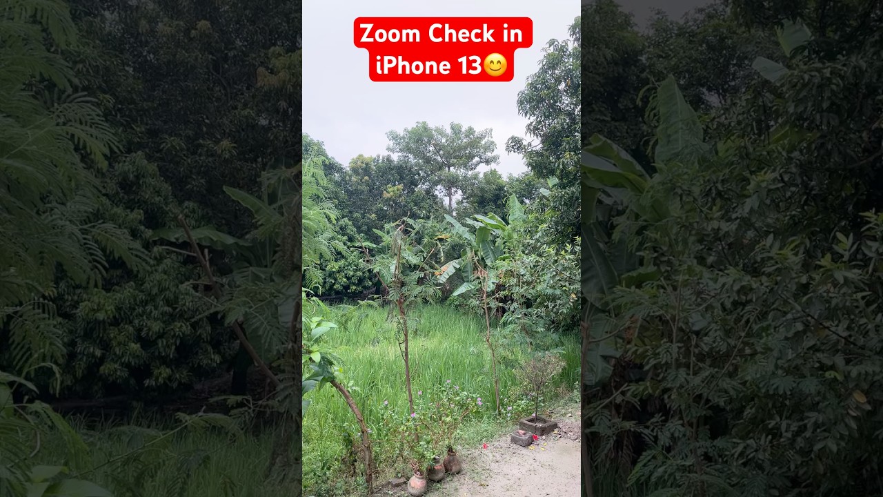 Zoom Checking in iPhone 13 