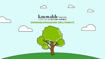 Growing a Knowable story