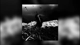 LXNGVX, DJ FKU, SKORDE - PLUS VIBE (Ultra Slowed)