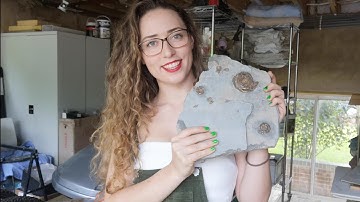 FOSSIL FRIDAY - Iridescent Ammonite Prep