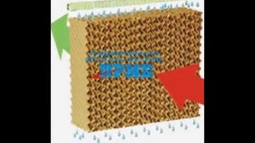 Tấm làm mát, làm mát nhà xưởng công nghiệp, tấm làm mát cooling pad, hệ thống làm mát nhà xưởng