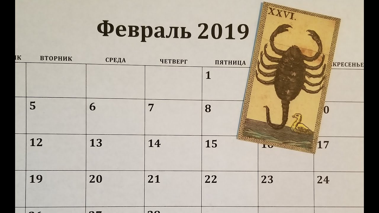 гороскоп на 4 февраля скорпион. гороскоп на 4 февраля скорпион. гороскоп на 4 февраля скорпион. скорпион характеристика. удачные дни для скорпиона февраль.