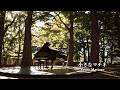 Relaxing & Calm Piano — Petite Matinee | Neo-Classical Solo Piano