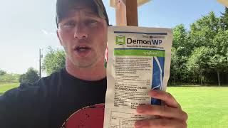 How to get rid of spiders, scorpions and other insects. (Demon WP review)