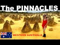 THE PINNACLES of Western Australia! Are they any good?