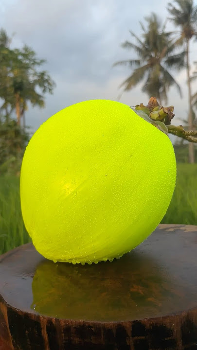 Crazys coco sparkling😱‼️Everybody know how it’s🤔 #cuttingskills #satisfying #coconut #asmr #short