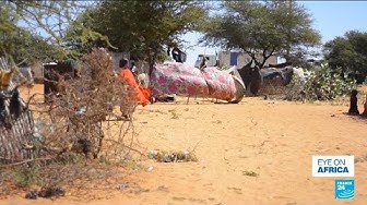 Thumbnail for Sudan: RSF kills over 1,000 civilians in Zamzam refugee camp in April, UN reports • FRANCE 24