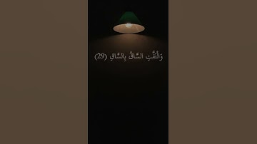 كلا إذا بلغت التراقي (26) وقيل من راق = سورة القيامة = #عبدالباسط_عبدالصمد