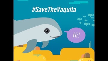 Save The Vaquita ENG by Vallarta Adventures