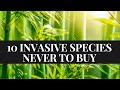 10 Invasive Plant Species You Should NEVER Buy