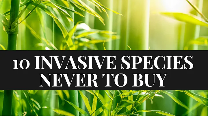 10 Invasive Plant Species You Should NEVER Buy