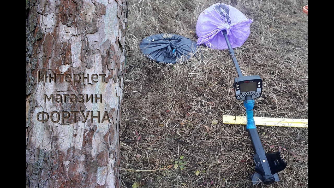 Minelab E-Trac - катушки в пакете, загадка для копателей