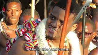 Ingwenyama Idla Tiga nelibutfo leNyatsi