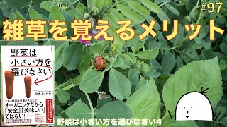 【#97】雑草を覚えるメリット！野菜作りには雑草が必要である！【野菜は小さい方を選びなさい04】