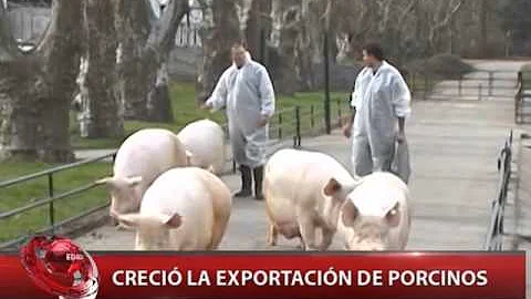 QM NOTICIAS- COLUMNA AGROPECUARIA / ANDRES LOBATO