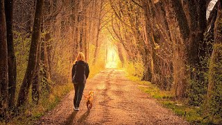 Walk Through The WORD Zoom - Genesis 11 - 9/25/20
MEETING INVITATION LINK: https://us02web.zoom.us/j/89807014184
Starts @ 8pm Eastern / 7pm Central / 6pm Mountain / 5pm Pacific Time
Everyone is encouraged to join the meeting and study together as we all Walk and Talk it out together. I am extremely excited to see what God is going to teach us all in the process in His Spirit of Truth! Dont miss out on the opportunity to ask questions and discuss the Word in real-time.
As always there is absolutely no pressure to participate although everyone will be given a chance to share. Please, dont have any apprehension about joining or leaving at any time. Better Late Than Never and When You Gotta Go... You Gotta Go!
You will have to give permission to the app and/or the website to allow access to your mic and cam in order to participate. However, YOU will be in complete control of which degree of participation you are comfortable engaging in.
When you click the invitation link you will enter into a waiting room and from there you will be swiftly allowed into the meeting. Everyone will be greeted upon entry. Once you are let in you will enter into the meeting your microphone will be muted and your camera will be turned off.
You will only turn them on if/when you care to use them. There is a chat feature you can comment in and you are more than welcome to turn your mic and/or cam on if you want to at any point when its appropriate to do so.
This is a safe place to be open and honest in sharing points of view as far as scripture is concerned. Its been extremely edifying and uplifting to be able to spend time interacting and getting to know one another more personally and now we can all study together too!
In our Zoom meetings, everyone has a voice and something to contribute! So, please join us and enjoy taking a Walk Through The WORD together in fellowship.
God Bless & Keep You ALL & Your Families!
The Meeting Link for Fridays - https://us02web.zoom.us/j/89807014184
@ 8pm Eastern / 7pm Central / 6pm Mountain / 5pm Pacific Time
INSTRUCTIONS GETTING SET UP!
If you dont already have Zoom, its a free app you can access on your phone, mobile devices, laptop or desktop computers. You can access the meeting through your browser or from the app. All you need to get set up is an email address. Zoom works with APPLE and ANDROID devices.
For APPLE download here:
https://apps.apple.com/us/app/id546505307
For ANDROID download here:
https://play.google.com/store/apps/details?id=us.zoom.videomeetings
For the Download Center to find any other method that may work for you check here:
https://us02web.zoom.us/download#client_4meeting
If you need any help setting things up or would like to sign up for an email mailing list please let me know in the comments down below.
My email is timmy2o@yahoo.com if you would prefer to message me or get signed up more privately. Thanks and God Bless & Keep You ALL EVEN MORE!
IF YOU FEEL FED HERE & LED OF THE LORD ALMIGHTY
TO SUPPORT THIS MINISTRY
YOU MAY DO SO AT THE FOLLOWING LINKS BELOW:
- Via PayPal
https://www.paypal.com/paypalme2/TimothyCastleberry
- Via Patreon-
https://www.patreon.com/TimothyCastleberry
YOUR PRAYERS ARE THE BIGGEST SUPPORT TO BE OFFERED UP!
THANK YOU ALL IN THE NAME OF JESUS CHRIST of NAZARETH
OUR LORD & SAVIOR!
GOD BLESS & KEEP US
MAY HIS FACE SHINE UPON US
MAY HE BE EXALTED AMONG ALL THE NATIONS OF THE EARTH
AND MAY HIS PEACE, HEALING, AND RESTORATION
DESCEND UPON US ALL FROM UP ON HIGH!
Luke 21:28 And when these things begin to come to pass, then look up, and lift up your heads; for your redemption draws near. Walk Through The WORD Zoom - Genesis 11 - 9/25/20