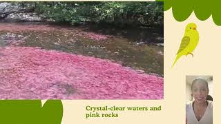 Tourism video of my region tranquilandia san jose del gaviare